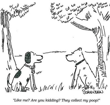 poo comic