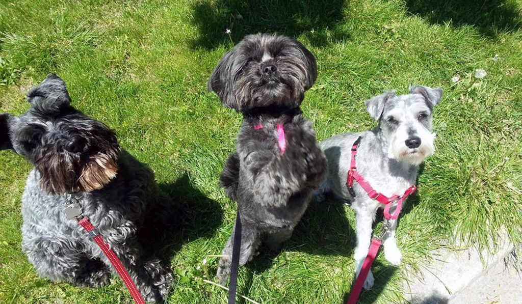 Quincy & friends