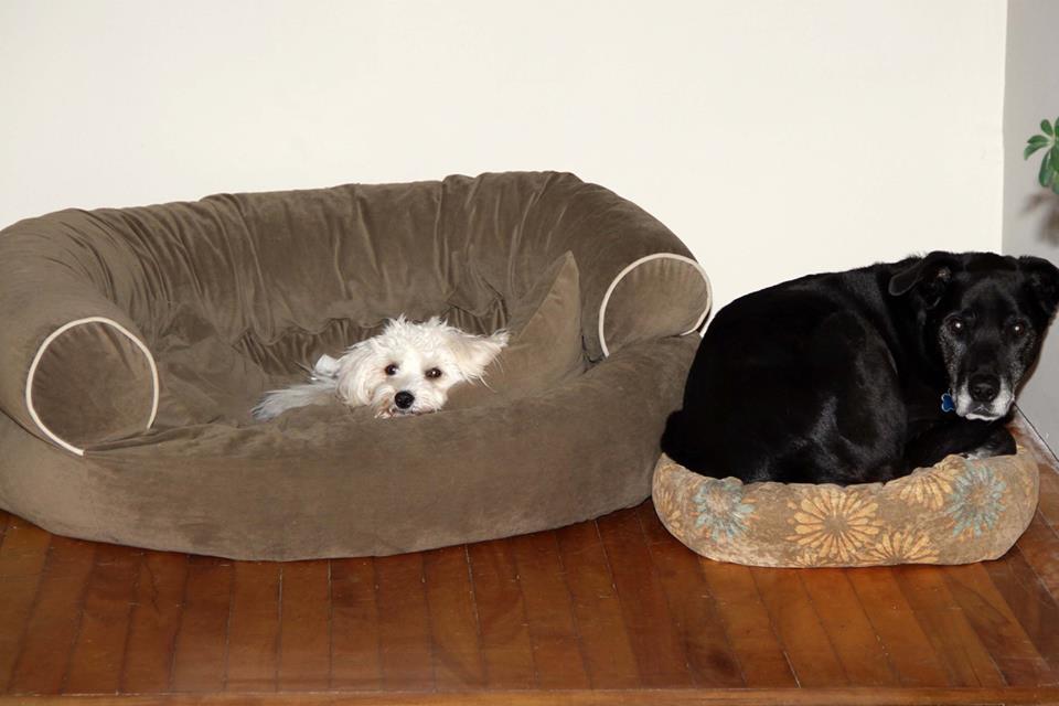 Charlie & Diesel