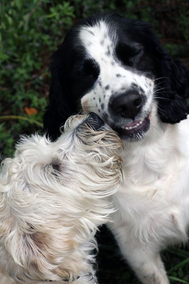 Norm & Penny